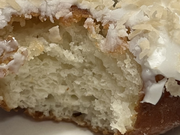 Coconut Donut-Dream Bakery-Austin