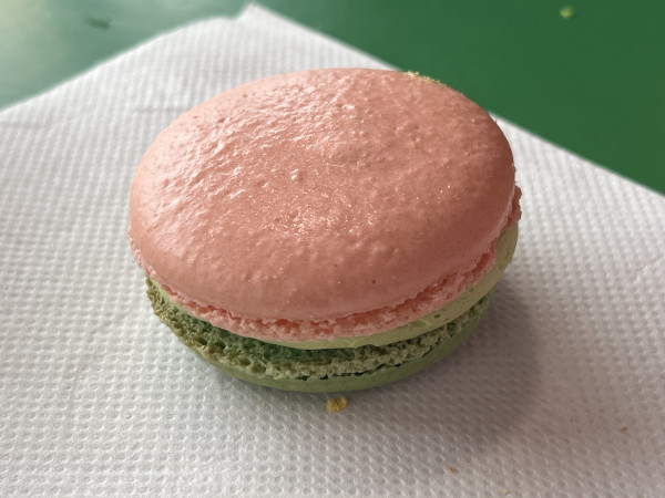 Matcha Strawberry Macaron-OMG Squee-Austin