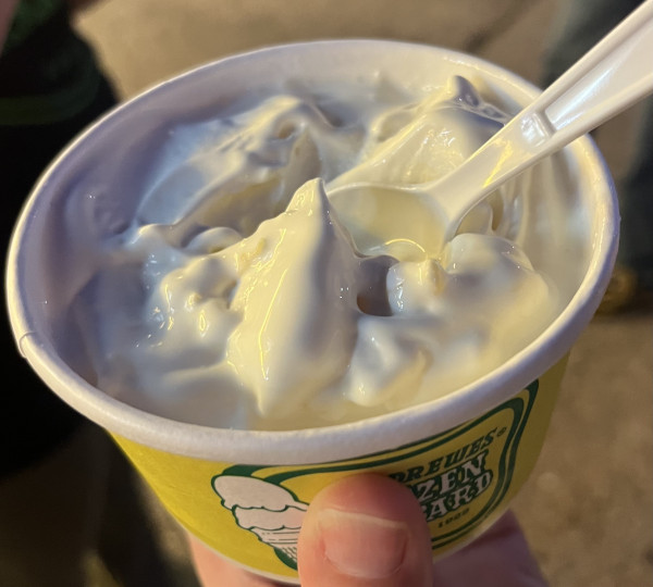 Vanilla Concrete-Ted Drewes Frozen Custard-St. Louis