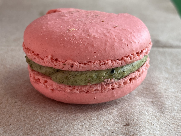 Strawberry Sakura Macaron-OMG Squee-Austin