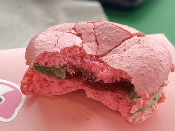 Strawberry Sakura Macaron-OMG Squee-Austin