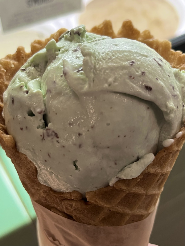 Mint Chip Ice Cream-Gati Ice Cream-Austin