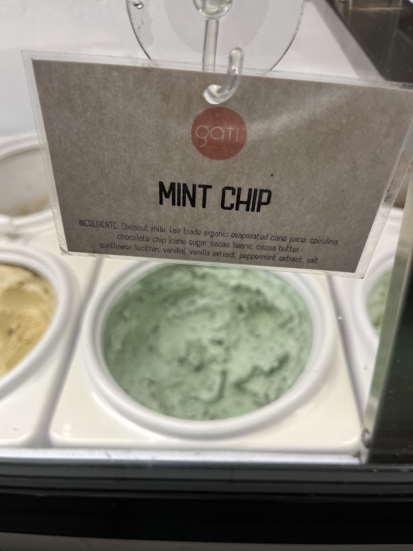 Mint Chip Ice Cream-Gati Ice Cream-Austin