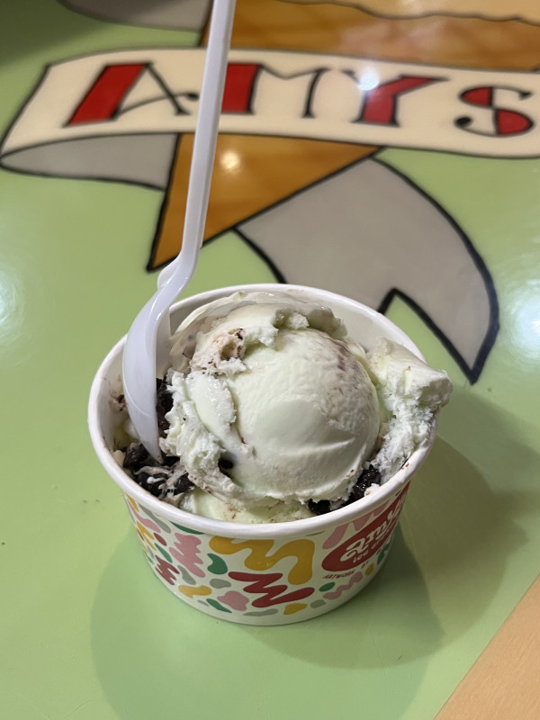 Zilker Mint Chip Ice Cream-Amy's Ice Creams-Austin